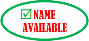 Company Name Availability Guidelines and Rules 2011