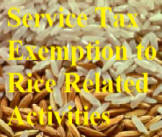 Service Tax Exemption to Rice & Paddy